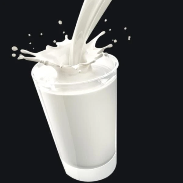 China Food Emulsifier Calcium Stearoyl Lactylate CAS NO.5793-94-2