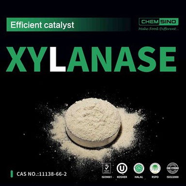 Onkraj navadnih encimov – CAS 9025-57-4 Xylanase Unleashed!