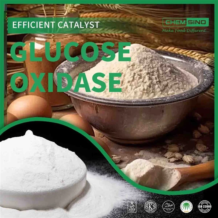 Kitajska glukoza oksidaza za vaše inovacije v hrani in pijači! ŠT. CAS: 9001-37-0