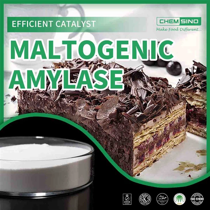 Maltogena amilaza: inženir okusa za vašimi najboljšimi jedmi. ŠT. CAS. 9000-92-4