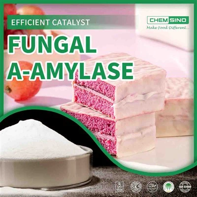 Uporaba pekovskega encima glivične A-amilaze v kruhu