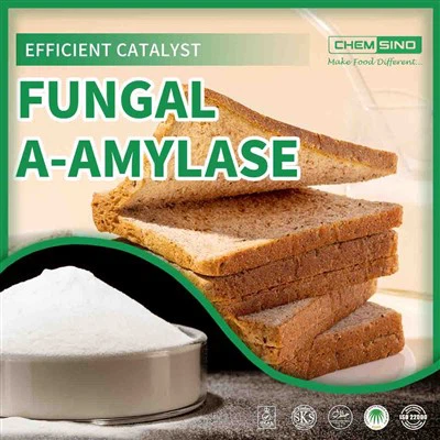 CAS 9000-90-2 glivični encim amilaza v hrani in pijači